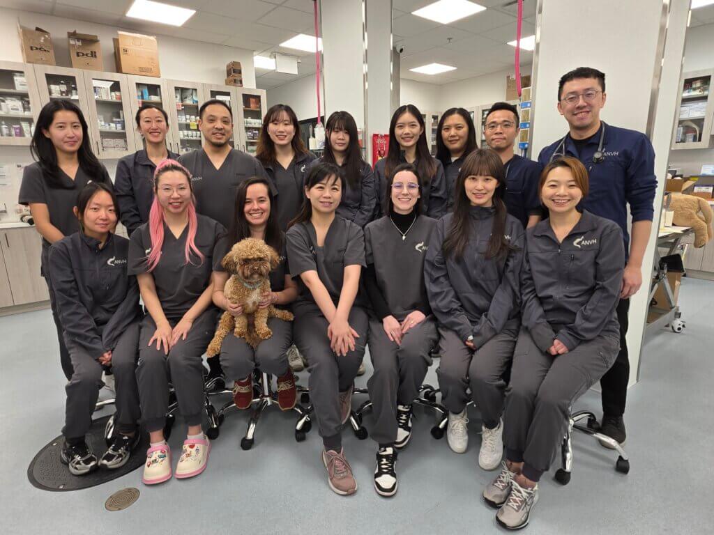 2026 team member updated