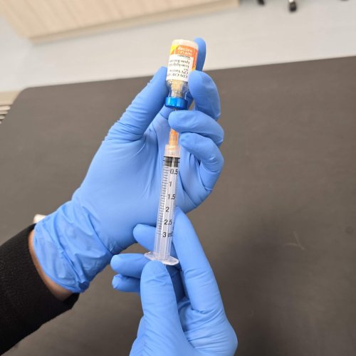 Vaccine